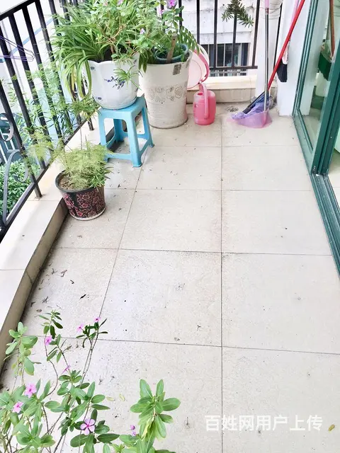 白天鹅花园 朝花园 永不腻诗文打怪 你的妙音怎能忘 - 图片 11