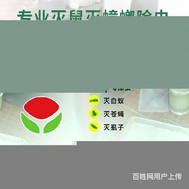 岱岳区餐厅灭鼠晨曦控虫的推荐 - 图片 1