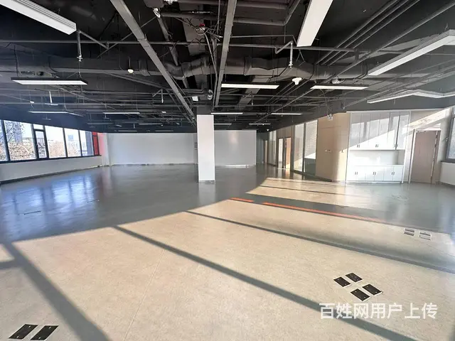 浑南国际软件园丨地铁口450平办公室租赁丨超好采光免费停车 - 图片 2