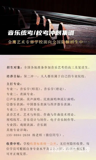 浙江声乐艺考培训哪家好?声乐艺考的考试内容有哪些? - 图片 5