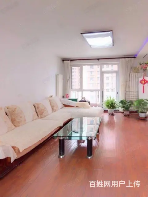 尚品总校学区，南北通透，两室两厅一卫，电梯小高层， - 图片 1