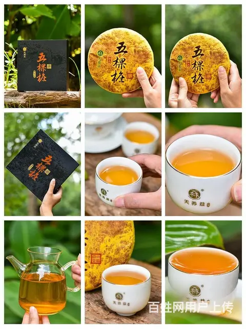 产品拍摄+详情设计+主图视频拍摄一条龙服务 - 图片 4