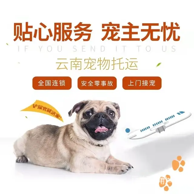 2022盐津县宠物托运（猫狗）邮寄快递运输（宠物活体托运新* - 图片 7