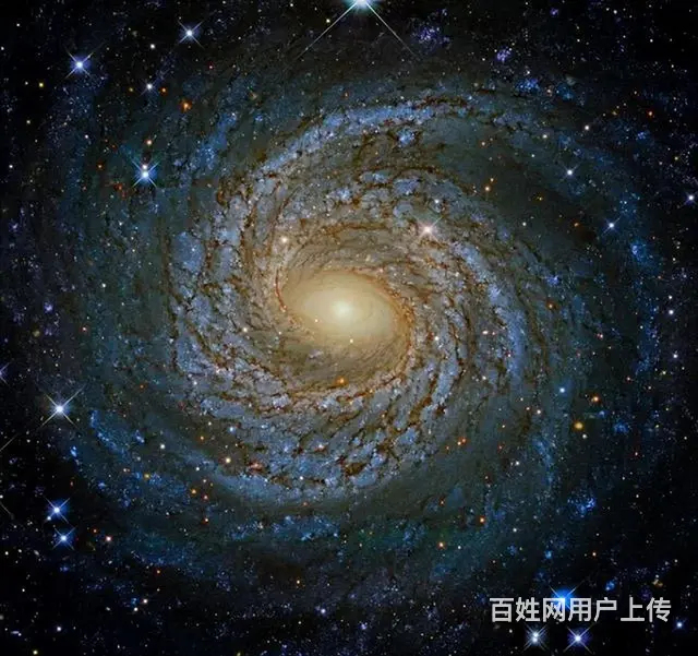 道家气功私教课程 - 图片 11