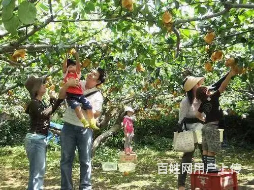 合肥出国劳务，包吃住，有保险 - 图片 2
