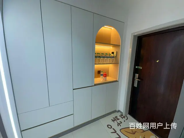 新柳城电梯10楼，精装高品质一居室，50平，独立客厅，独立厨 - 图片 6