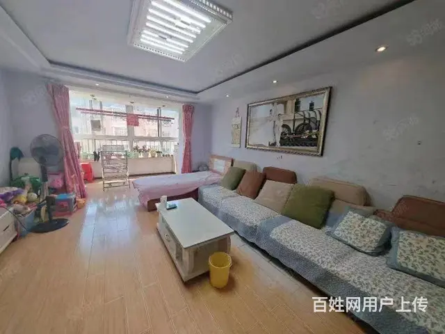 铁西花园，四楼，两室两厅南北通透，拎包入住，可贷款 - 图片 7