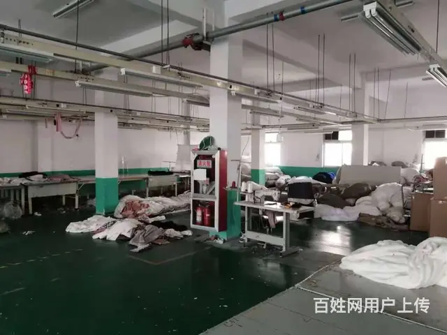 古里白茆2楼2920平，层高4米，2部货梯，电大，有食堂宿舍 - 图片 5