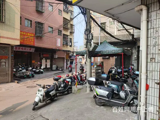 （51旺铺推荐）博雅路280平三门头临街旺铺转让 - 图片 10