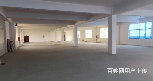 初村独门独院框架厂房带货梯低价出租 - 图片 4