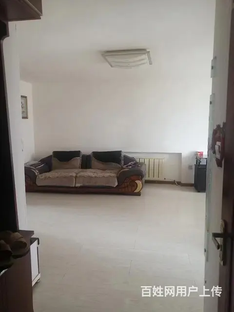 南星花园整体出租，干净整洁，可季租，月租，半年租，年租 - 图片 5
