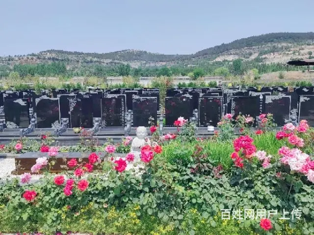 滕州善国陵园 正规经营性公墓 永久使用 - 图片 3