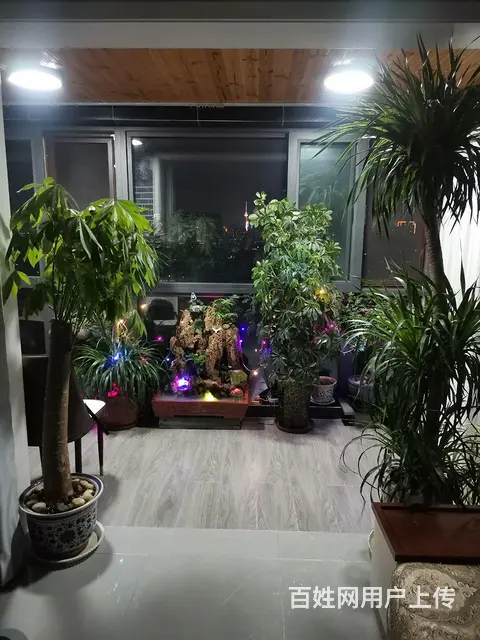 舒适精装房 - 图片 2