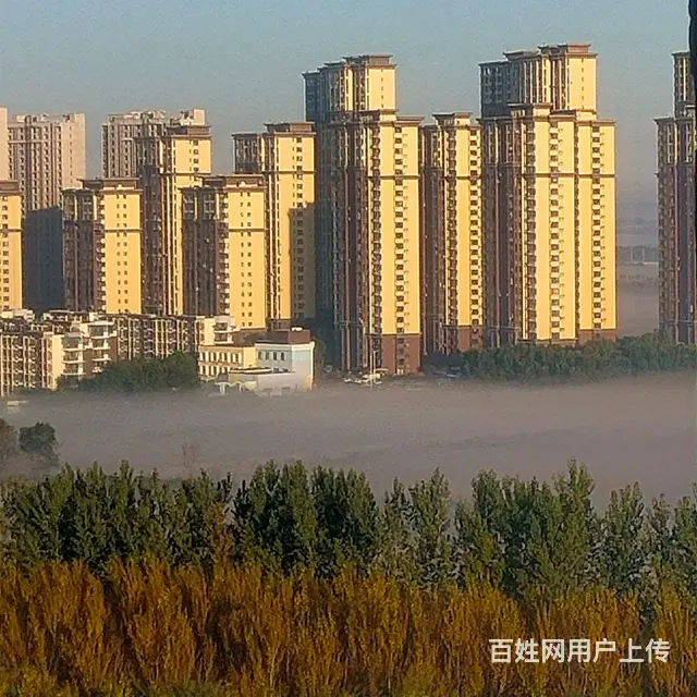 房屋出租 - 图片