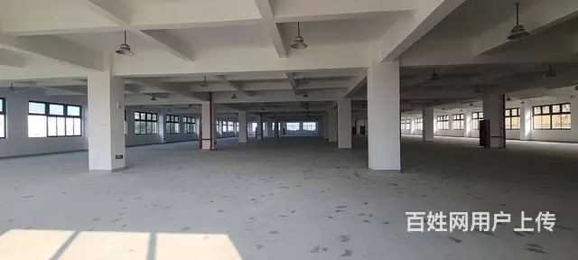 董浜工业园全新独栋独院厂房8400平，可分租，配套设施齐全 - 图片 7