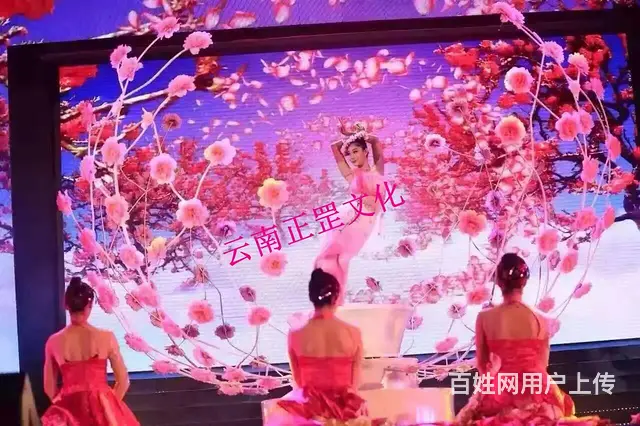 活动策划、设计制作、舞美搭建、灯光音响、演出表演 - 图片 7