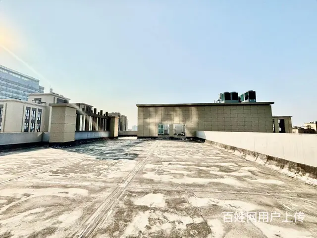 怡心湖 独栋出售 价格好谈 带车库 超小公摊 户型方正 - 图片 8