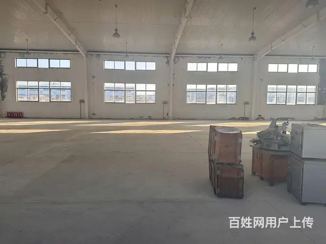 （新房源）初村钢结构独门独院8米高厂房大院子出租 - 图片 4