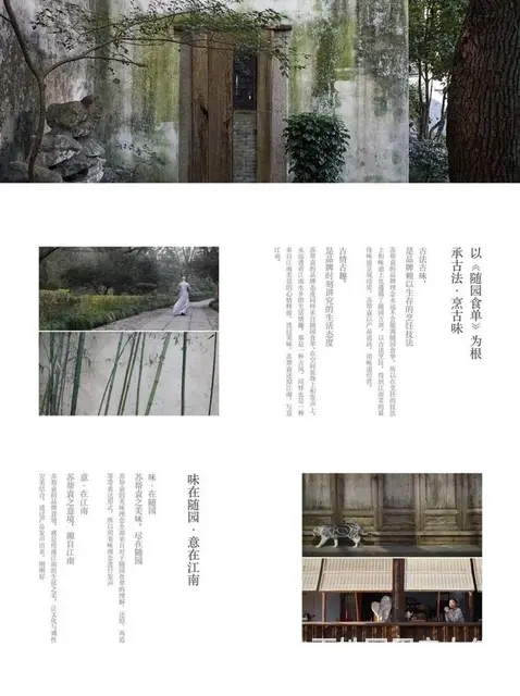 成都品牌菜品拍摄，菜单制作 - 图片 4