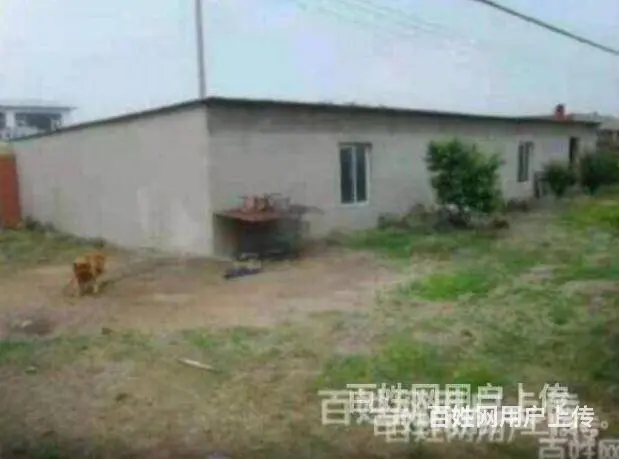 【搞定了！】尖山子道边310省道旁 大院儿低价出售（非中介） - 图片 6