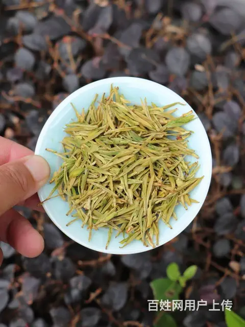 生态茶园 极白白茶 原滋原味 微信： - 图片 5