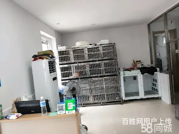 急转！邢台市桥东区南园路80平博爱宠物店 - 图片 9