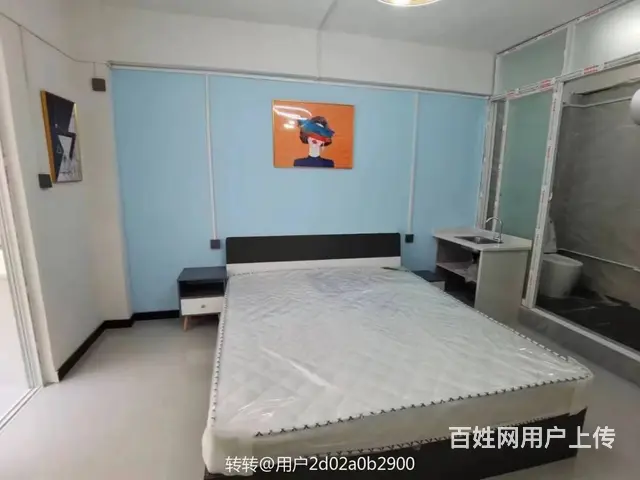 恒丰阁 公寓1厅 豪华装修 - 图片 2