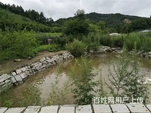 吉林市丰满区小孤家子一社平房土地出售 - 图片 11