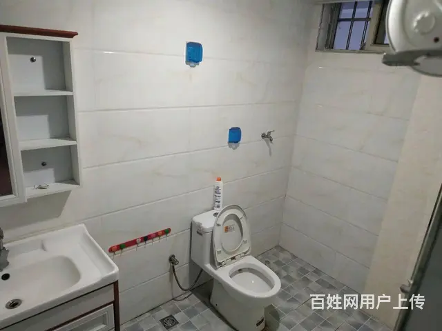 柳新镇鑫天花园房屋出租 - 图片 5