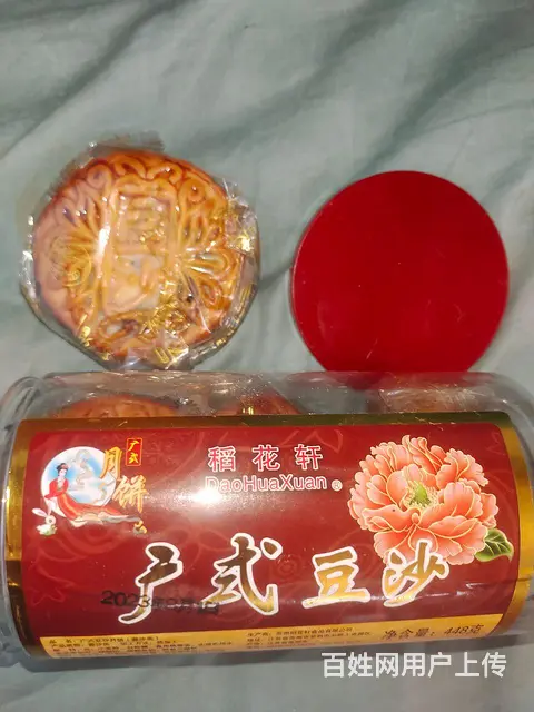 流浪猫寻有缘人不求富贵但求相守 - 图片 6