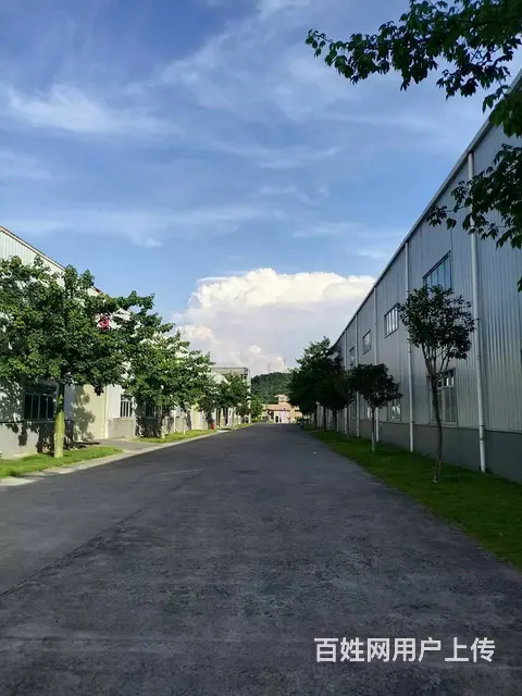 武江区沐溪一路6000方厂房招租可分租 - 图片 3