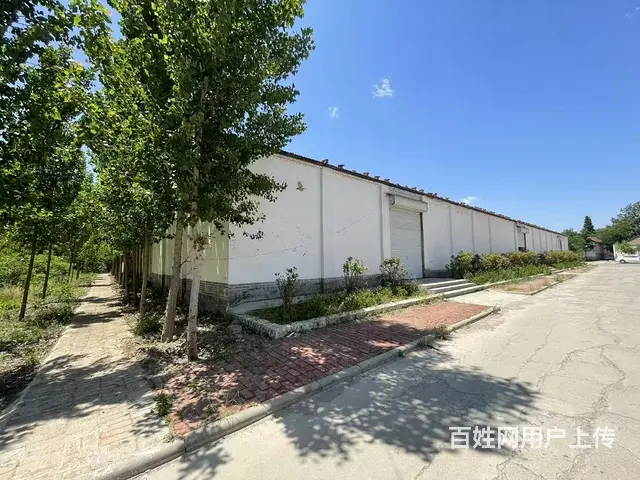 邹平苗家村工业园大型厂房出售 - 图片 8