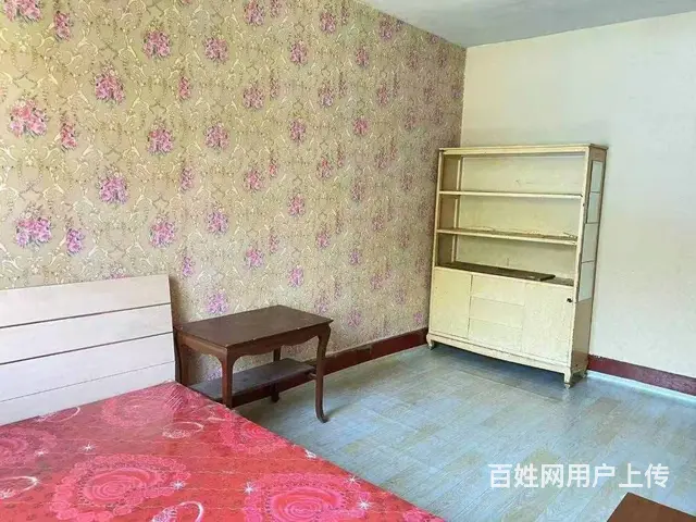 近中街刘老根大舞台，550元/月，押一付一，2楼，包WiFi - 图片 4