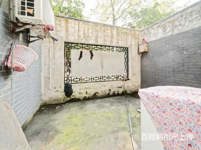 佣院一方，享惬意时光，植花种草，诗意栖居，生活如此多娇 - 图片 6