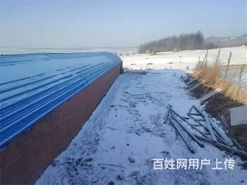 江密峰胜利村厂房养殖场出租 - 图片 11