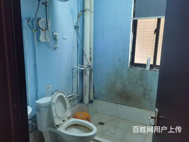 房屋干净整洁，阳光充足，智能门锁，房东直租 - 图片 7
