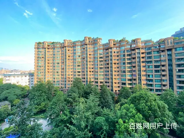 正规南北精装修。笋租 - 图片 12