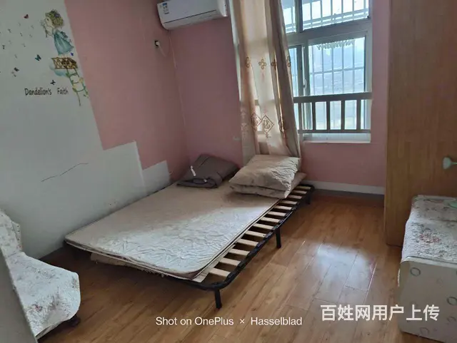 西贺二期 - 图片 2