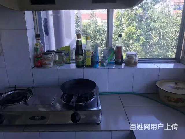 出租民主北路改建17号院 - 图片 8