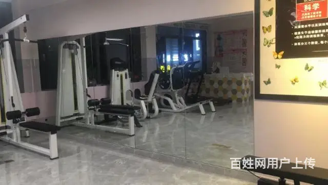 健身房镜子，舞蹈镜子、瑜伽镜子、舞蹈把杆、瑜伽吊床 - 图片 7