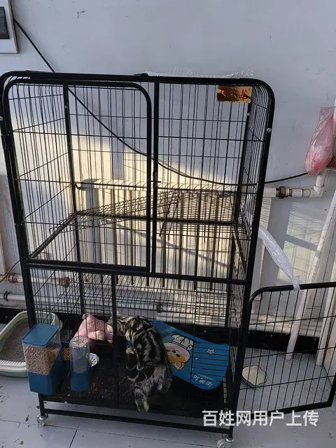 猫笼子出售 - 图片 1