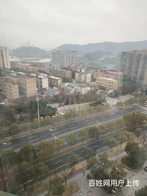 房东直租 - 图片 11