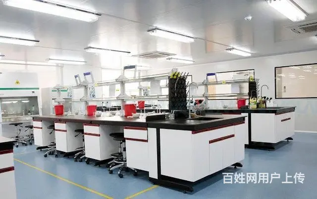 钢木全钢PP实验桌 化学操作台不锈钢试验台 - 图片 3