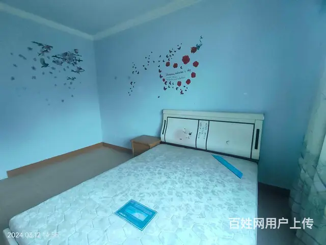 急售洪南路临街两室两厅一卫（可改三室）户型方正彩光好拎包入住 - 图片 7