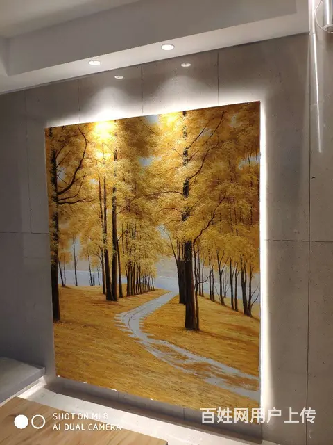 专业墙纸墙布施工队 - 图片 7
