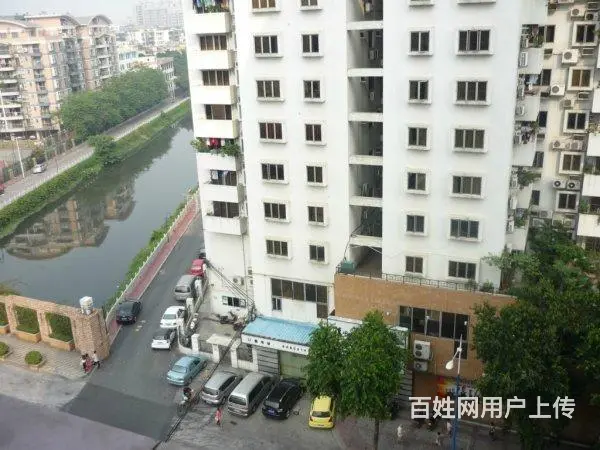 经典3房，户型方正，视野开阔，采光充足。 - 图片 12