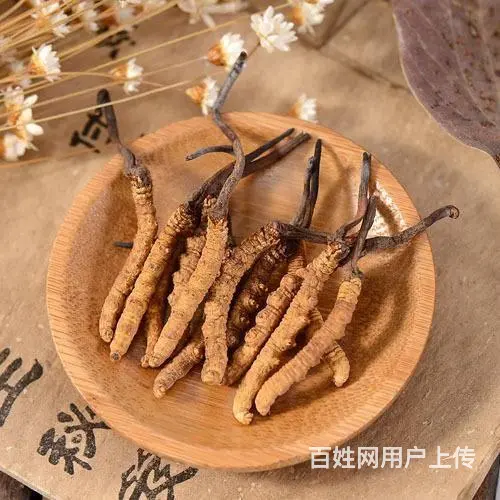 南安散装冬虫夏草回收价格高吗 - 图片 2