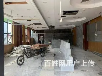 工业园区湖东房屋拆除 敲墙拆旧 拆吊顶 清运垃圾 - 图片 6