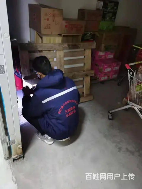 资阳灭白蚁公司，资阳杀白蚁公司，资阳除白蚁公司 - 图片 2