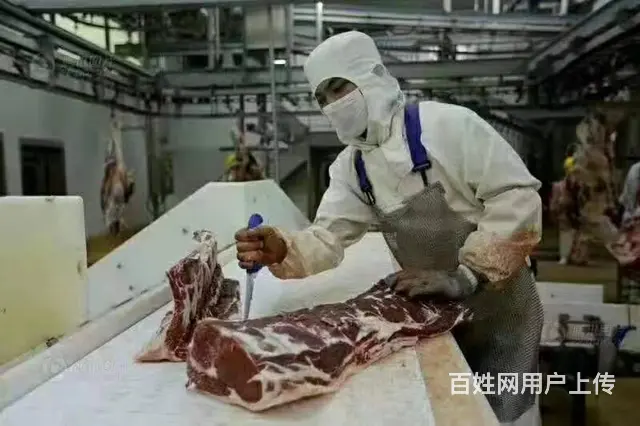 长期招聘新加坡劳务人员，一个星期出境，费用低，保签 - 图片 4